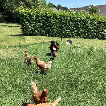 Chez Marcel * 福维莱尔斯